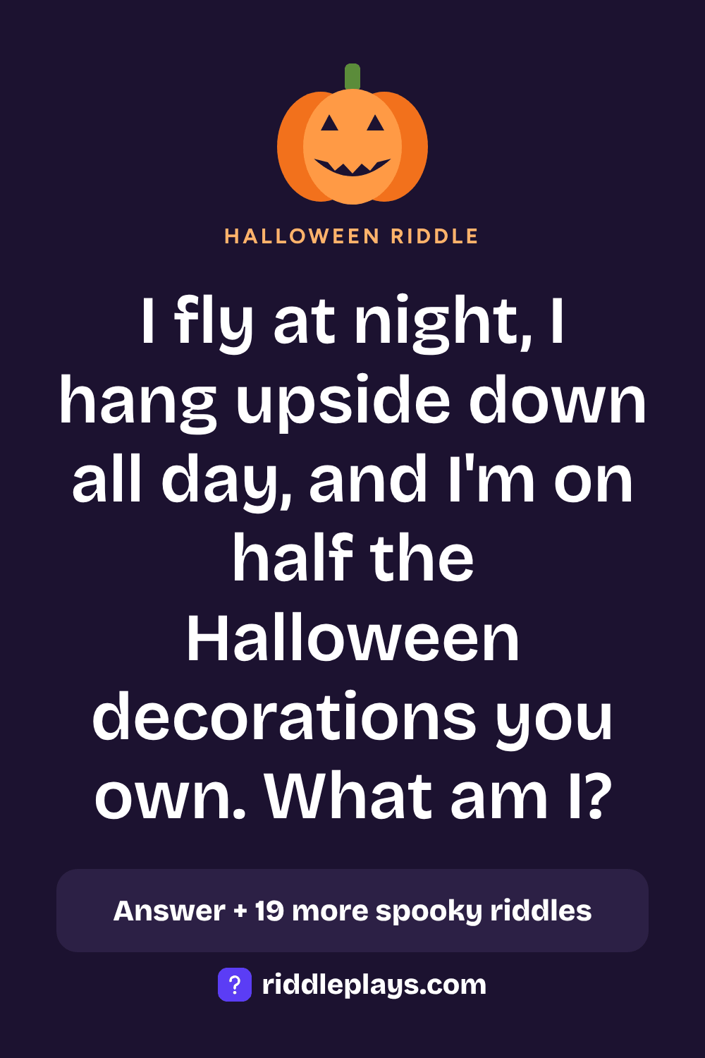 Halloween Riddle: I fly at night, I hang upside down all day, and I'm on half the Halloween decorations you own. What am I?