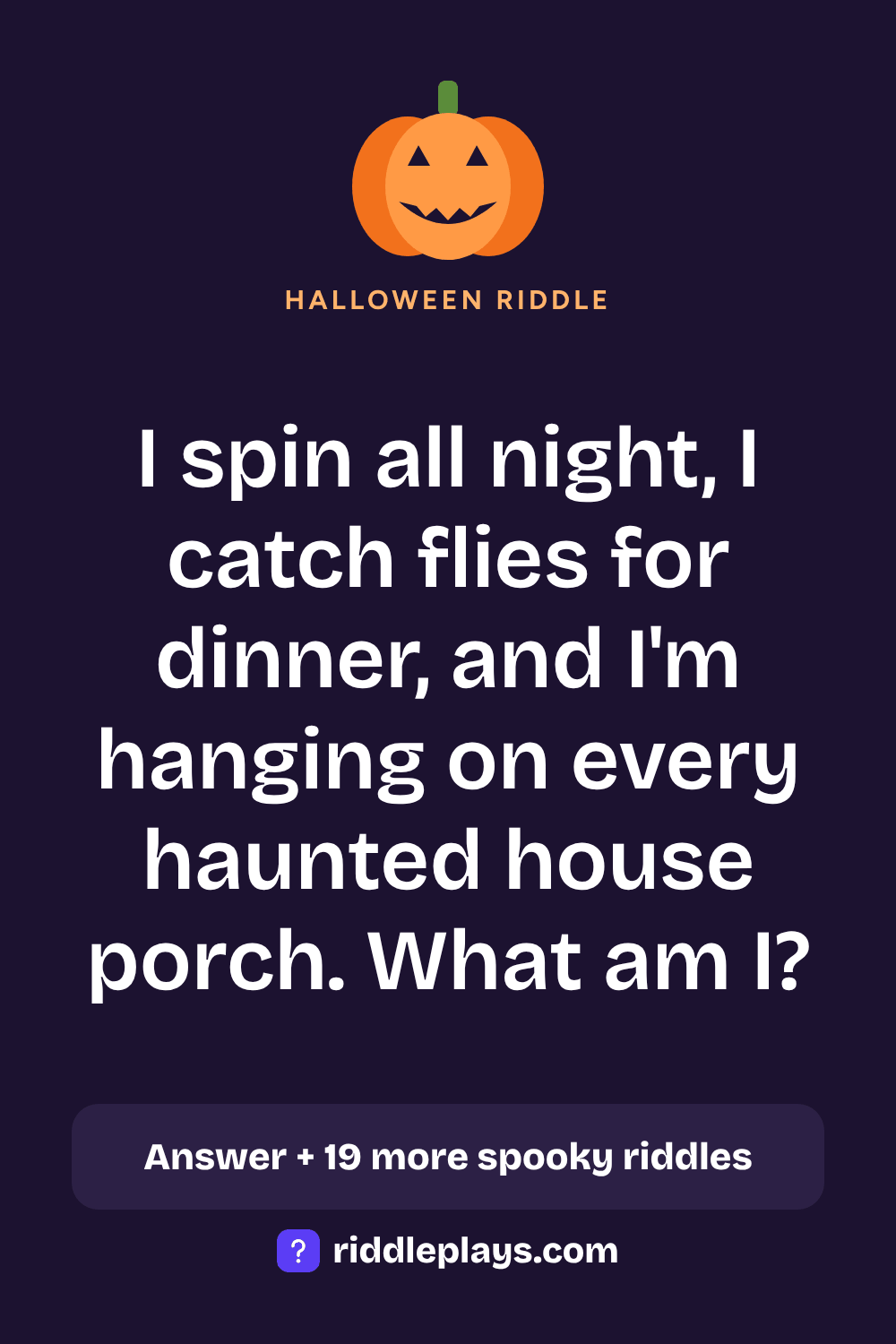 Halloween Riddle: I spin all night, I catch flies for dinner, and I'm hanging on every haunted house porch. What am I?