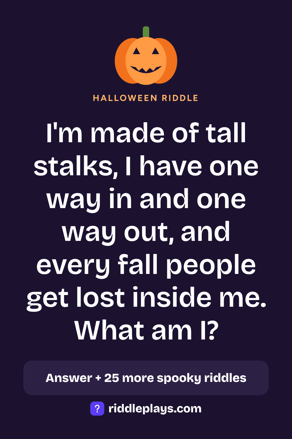 Halloween Riddle: I'm made of tall stalks, I have one way in and one way out, and every fall people get lost inside me. What am I?