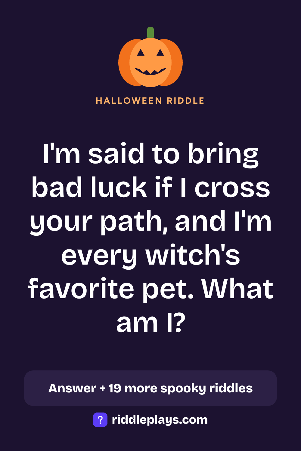 Halloween Riddle: I'm said to bring bad luck if I cross your path, and I'm every witch's favorite pet. What am I?
