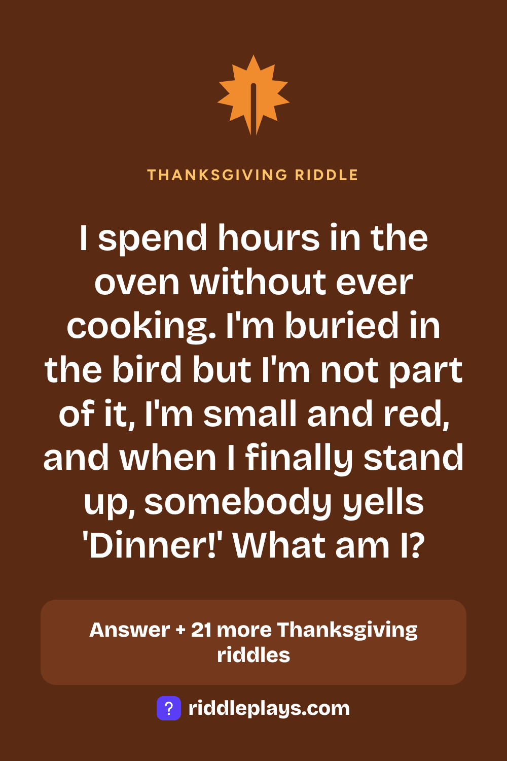 Thanksgiving Riddle: I spend hours in the oven without ever cooking. I'm buried in the bird but I'm not part of it, I'm small and red, and when I finally stand up, somebody yells 'Dinner!' What am I?