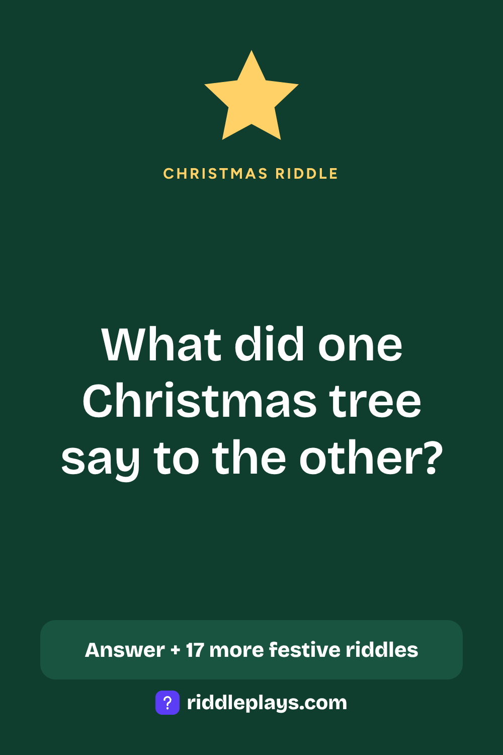 Christmas Riddle: What did one Christmas tree say to the other?