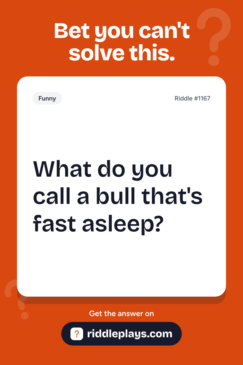 Funny Riddle: What do you call a bull that's fast asleep?