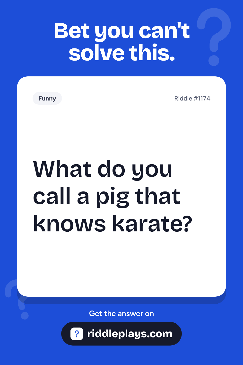 Funny Riddle: What do you call a pig that knows karate?