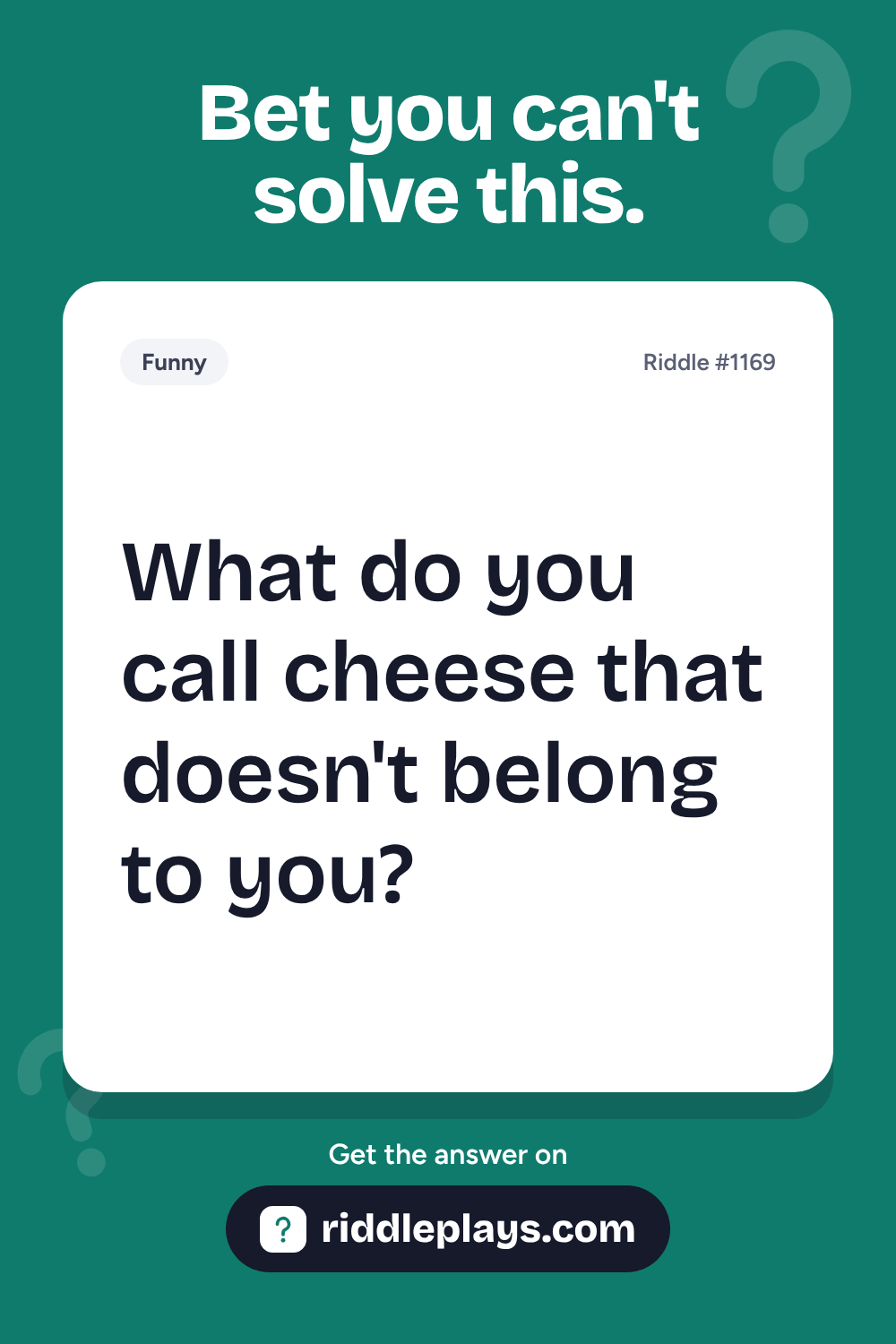 Funny Riddle: What do you call cheese that doesn't belong to you?